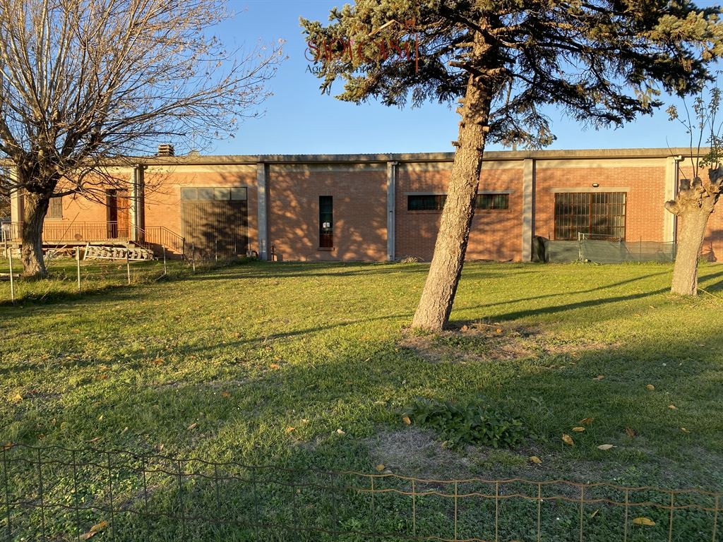 CAPANNONE DI CIRCA 185 mq e  CORTE ESCLUIVA DI 400 mq