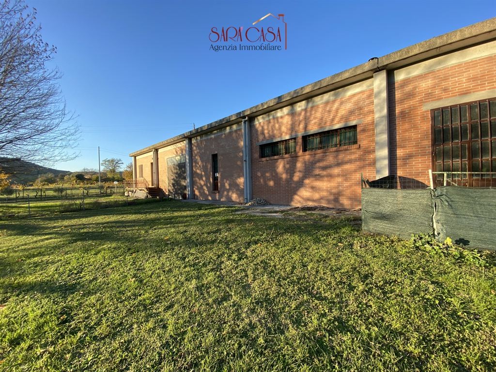 CAPANNONE DI CIRCA 185 mq e  CORTE ESCLUIVA DI 400 mq